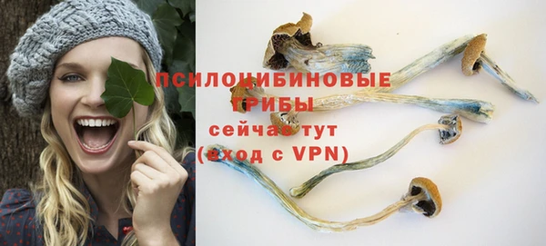 трава Абаза