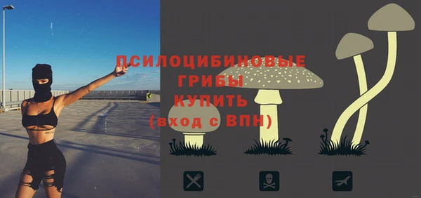ПСИЛОЦИБИНОВЫЕ ГРИБЫ Абинск
