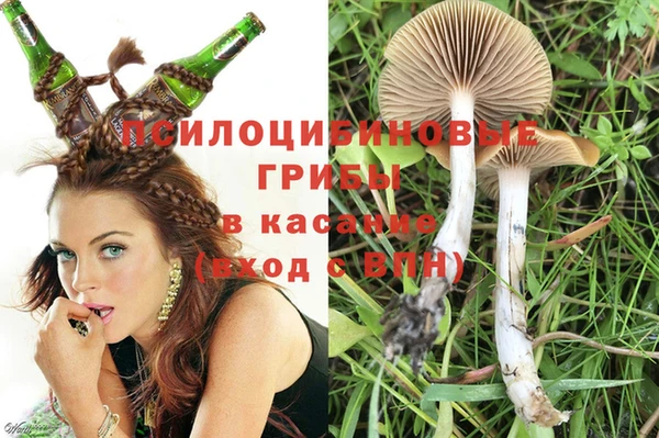 ПСИЛОЦИБИНОВЫЕ ГРИБЫ Абинск